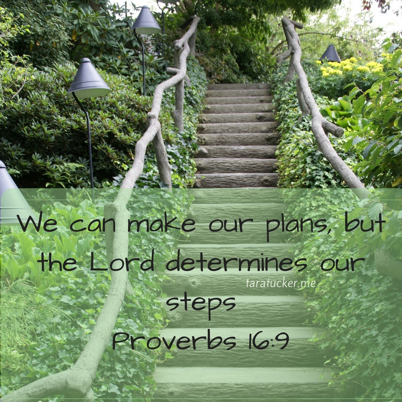 we can make our plans but the Lord determines our steps